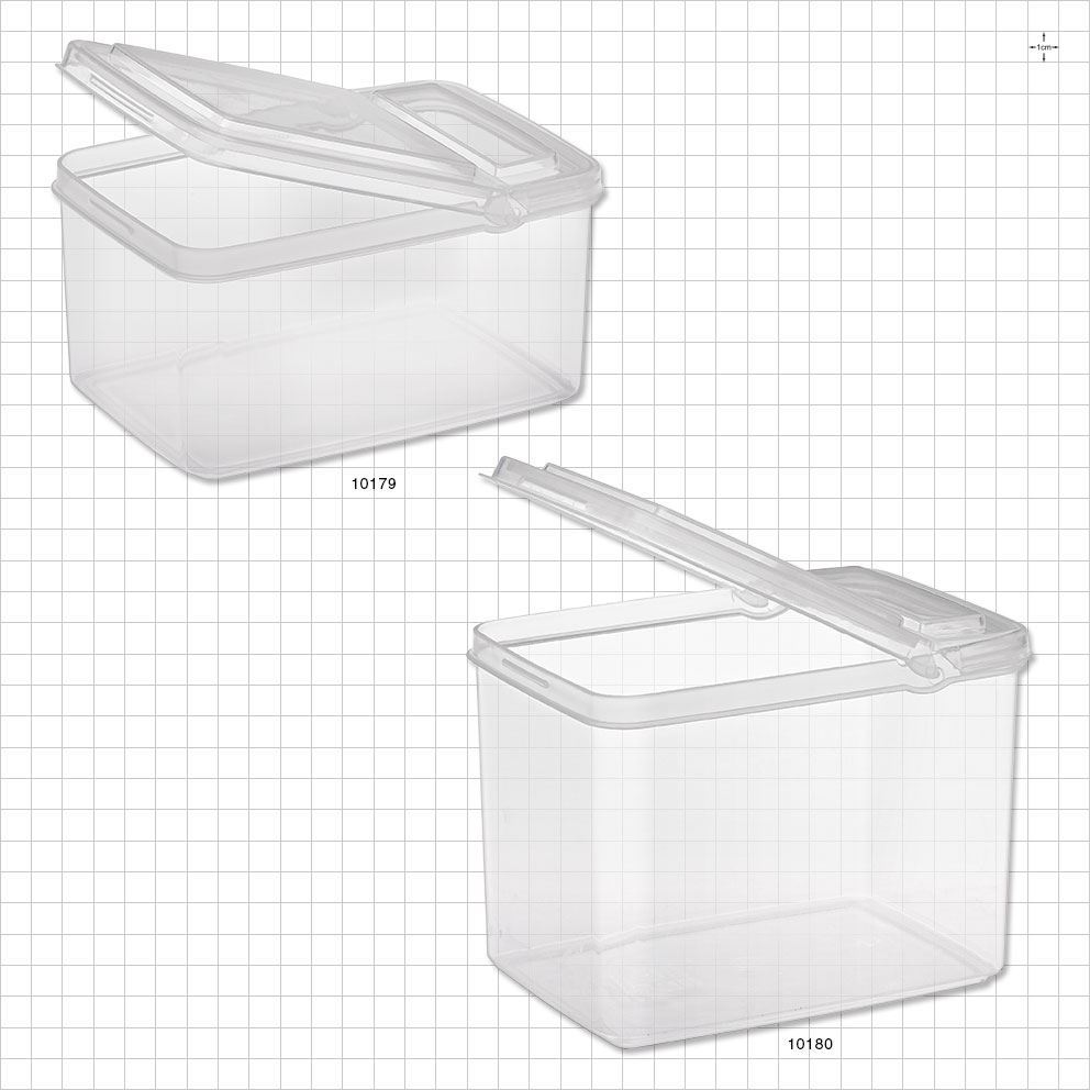 Medium Rectangle Container with Flip Top Lid, Clear